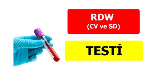 rdw cv nedir